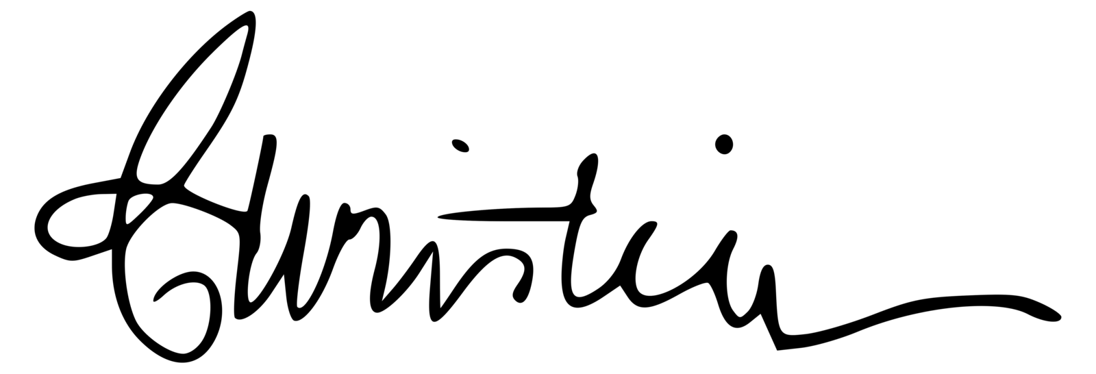 Christian Navarro signature
